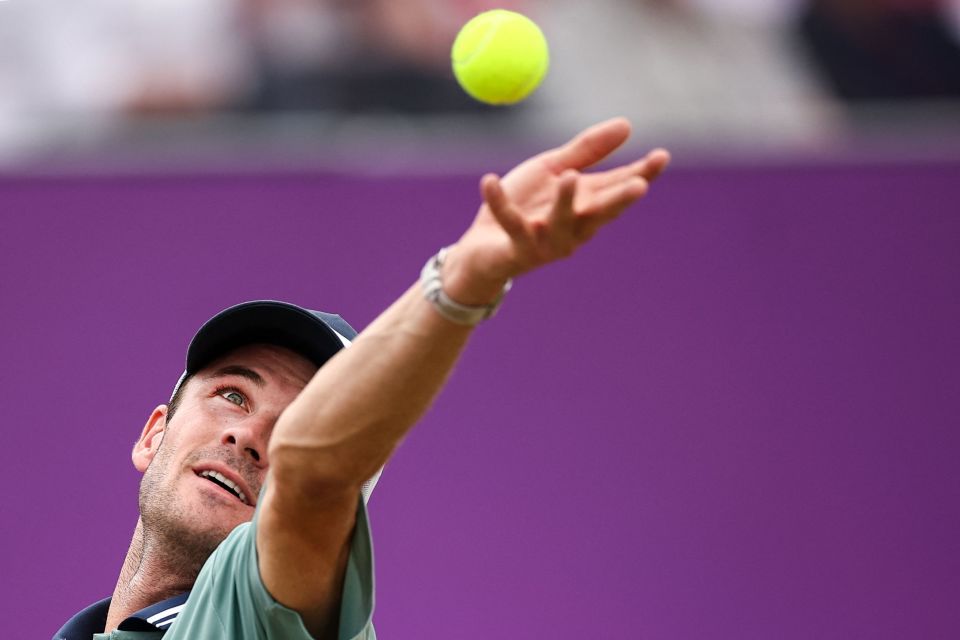 在整个资格 在整个资格